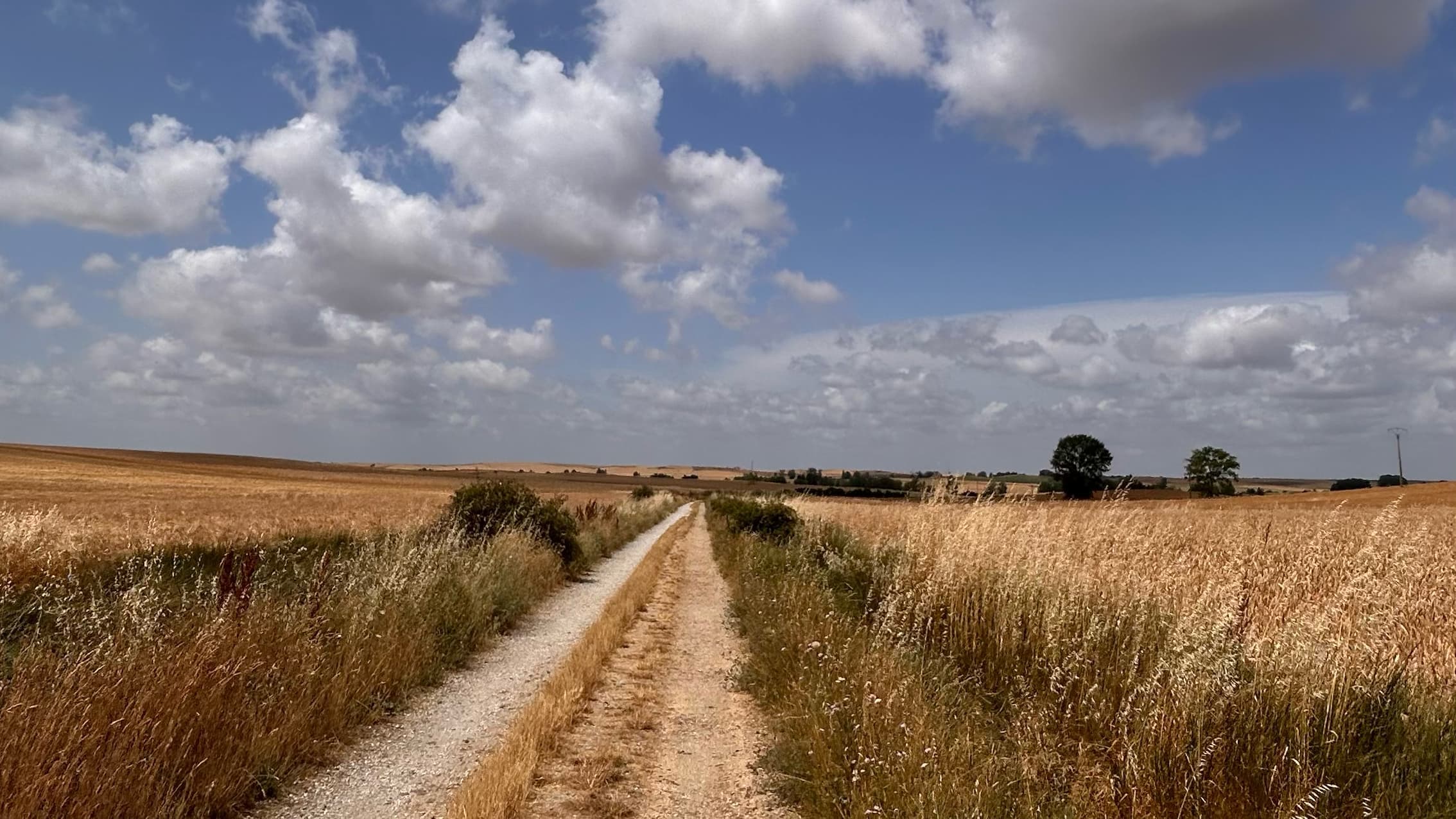 A straight gravel track running to the horizon through wheat fields under an enormous sky on the Meseta.